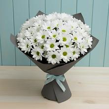 Букет цветов из:  Хризантемы #REPLACE_PRED# Посёлок Центральной усадьбы совхоза Озёры