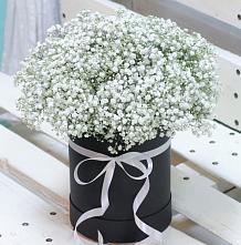 Цветочная композиция из Гипсофила в шляпной коробке #REPLACE_PRED# Посёлок Центральной усадьбы совхоза Озёры
