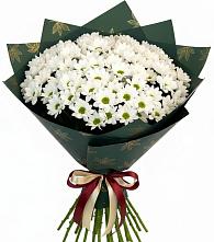 Букет цветов из:  Хризантемы в Посёлок Центральной усадьбы совхоза Озёры