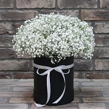 Цветочная композиция из Гипсофила в шляпной коробке #REPLACE_PRED# Посёлок Центральной усадьбы совхоза Озёры