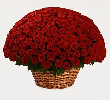 Премиум букет из: Розы в Посёлок Центральной усадьбы совхоза Озёры