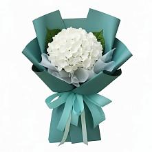 Букет цветов из:  Гортензия в Посёлок Центральной усадьбы совхоза Озёры